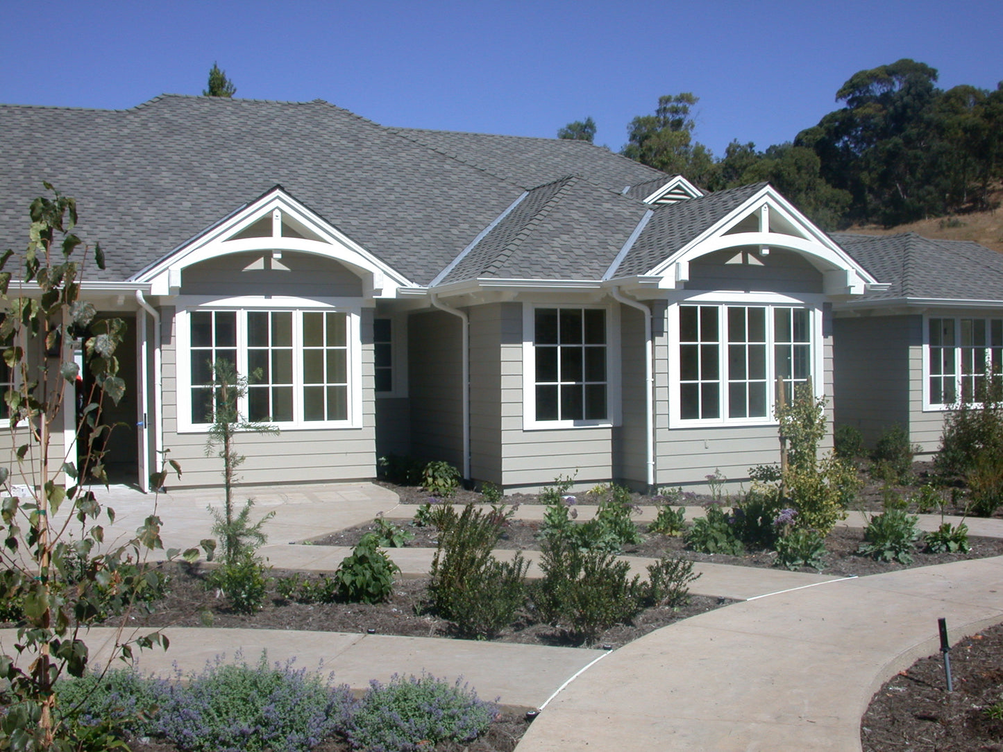 Wood/Fiberglass Windows